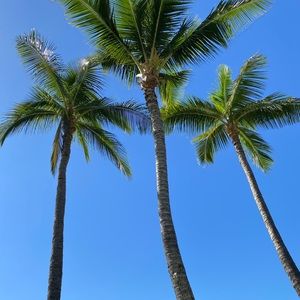 Meet your Posher, Lana